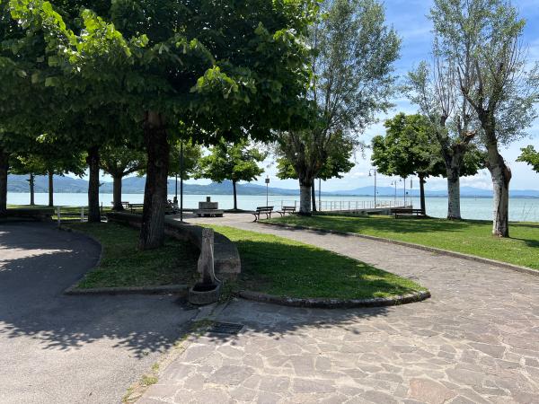 Parco alberato lungo il lago Trasimeno a San Feliciano: sentieri in pietra, panchine, fontanella e vista sul lago e le colline circostanti. In lontananza, oltre il lago, si possono vedere colline e montagne sotto un cielo sereno con poche nuvole. L'ambiente è tranquillo e invita a passeggiare, sedersi e godere della vista sul lago e della natura circostante.